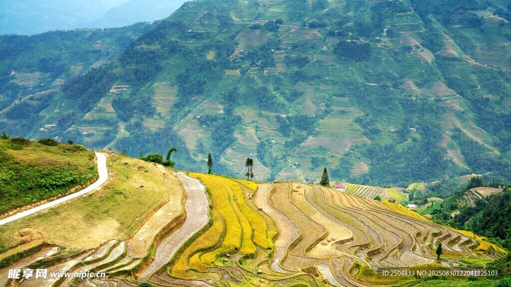 山间梯田美景 田园风光