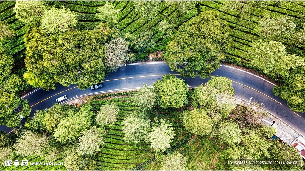 俯瞰山林间蜿蜒公路