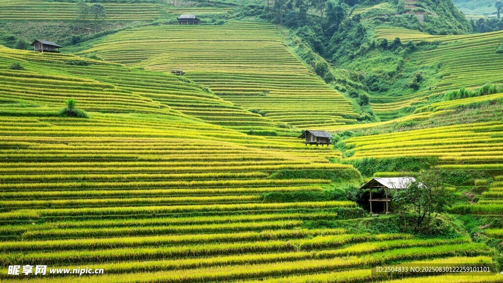 山间梯田美景