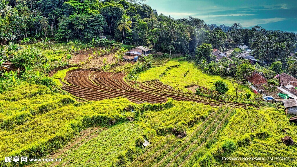 田园风光航拍美景