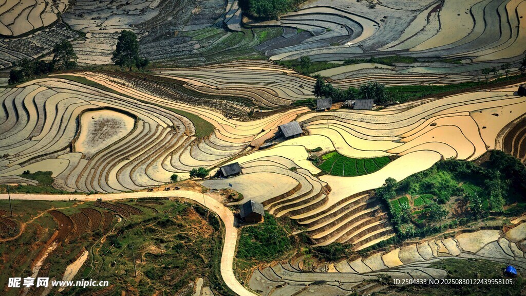 壮观梯田景观