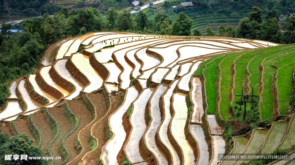 壮观梯田美景