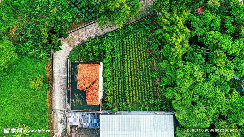 俯瞰绿植环绕的小屋