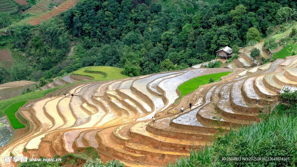壮观的梯田美景