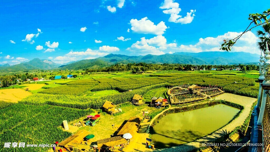 田园风光美景如画