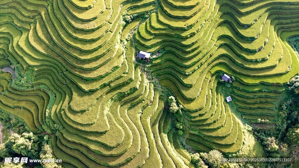 梯田美景 层层绿意如画