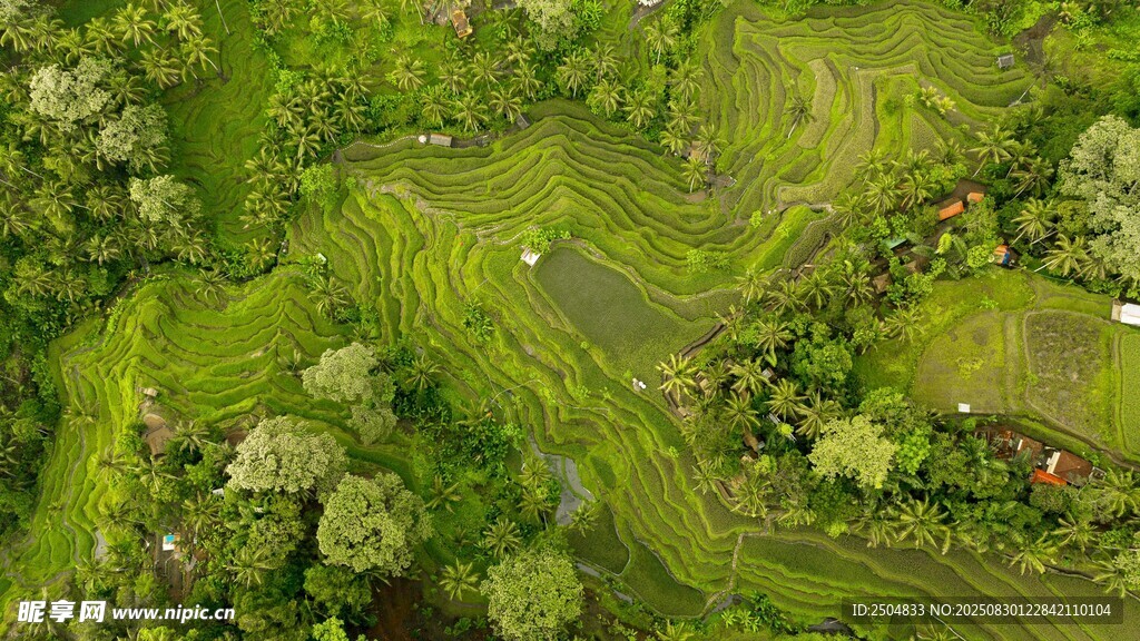 空中俯瞰葱郁田园美景
