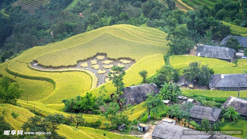 梯田美景 山间田园风光