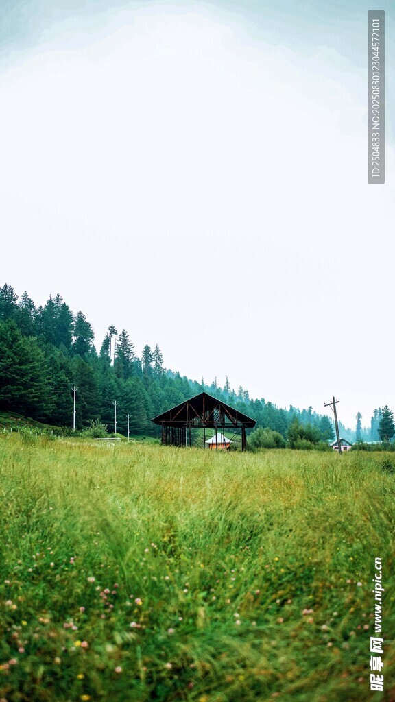 绿野中的山间小屋