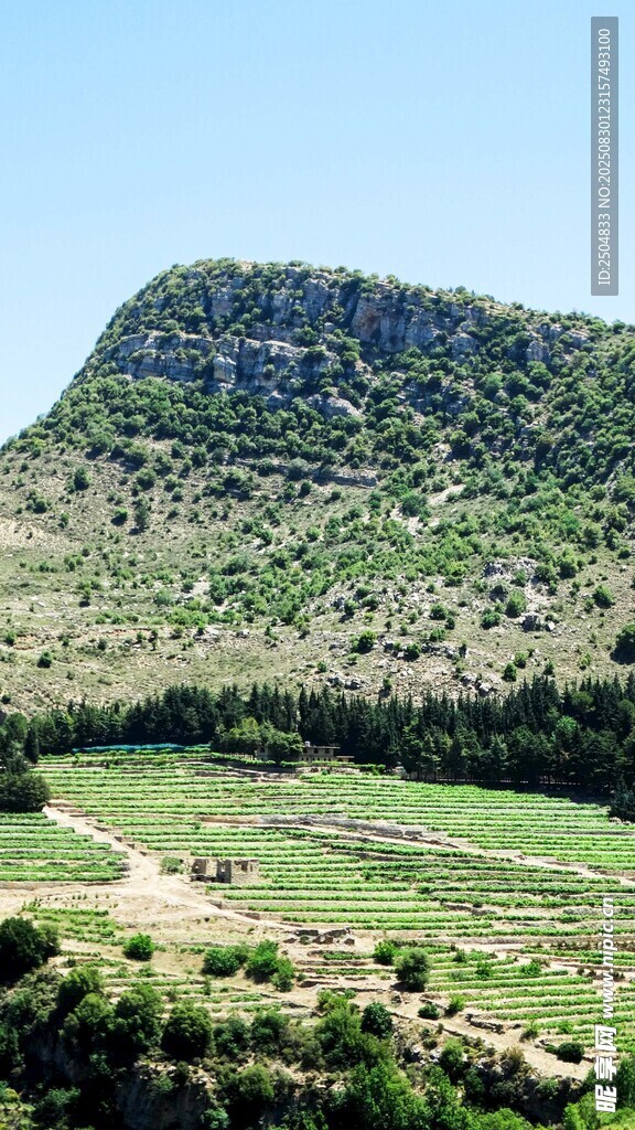 山峦绿野的自然美景
