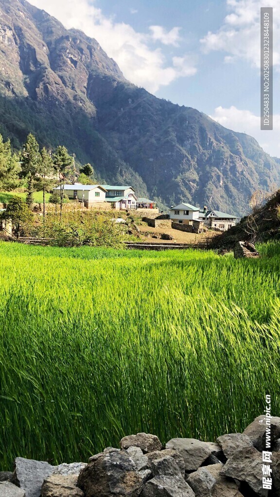 山间绿野田园风光美景