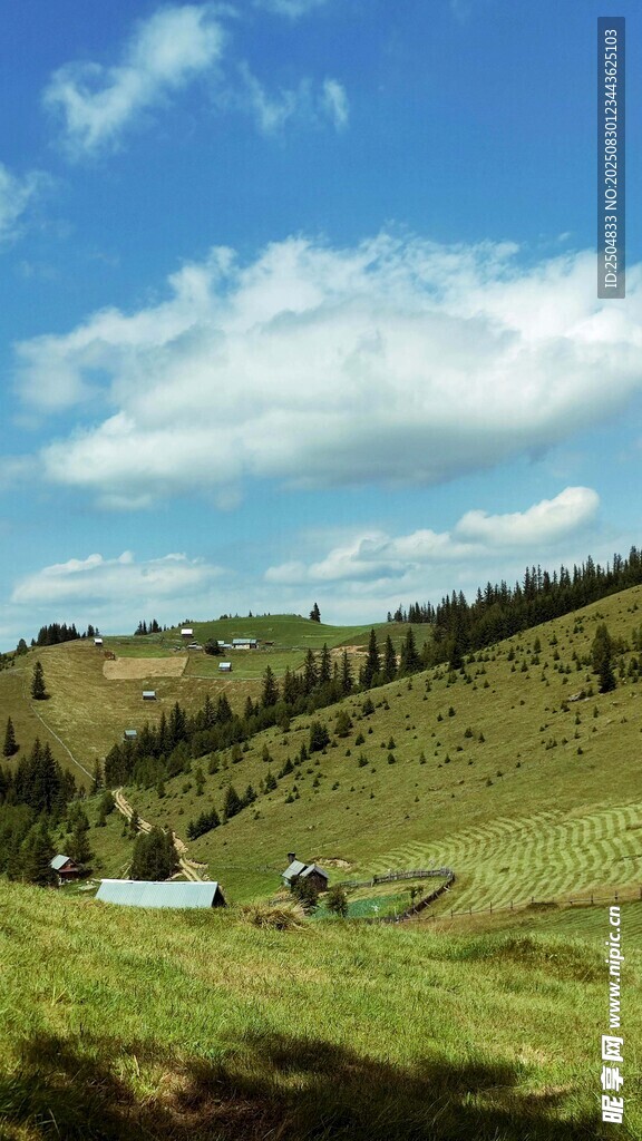 草原风光 蓝天白云下的美景