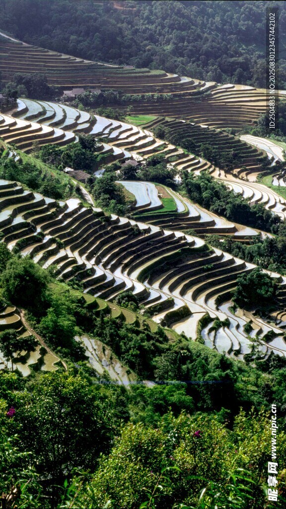 梯田景观 绿意盎然