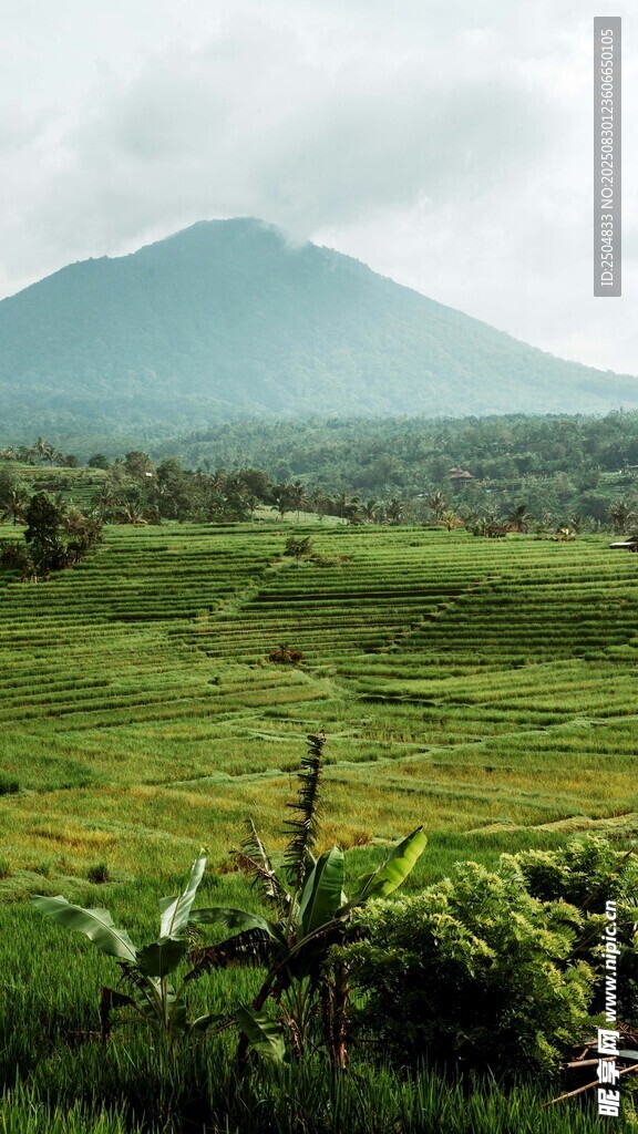 绿野青山间的自然美景