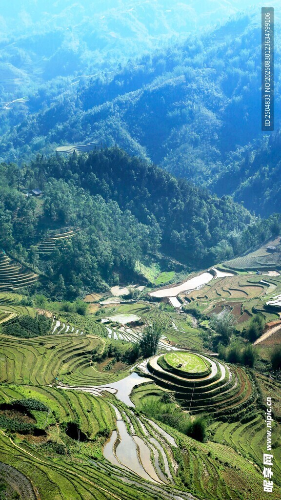山间梯田美景