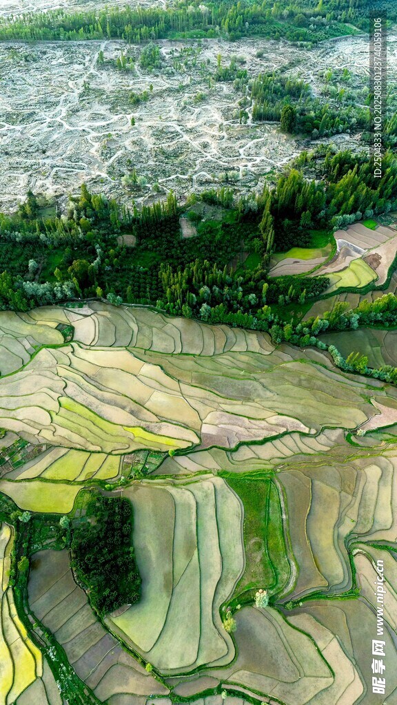 田园风光中的梯田美景