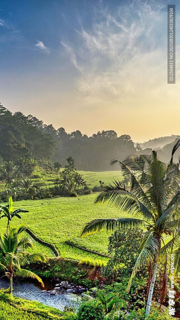 田园风光中的自然美景