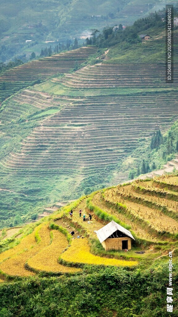山间梯田小屋的美丽景致