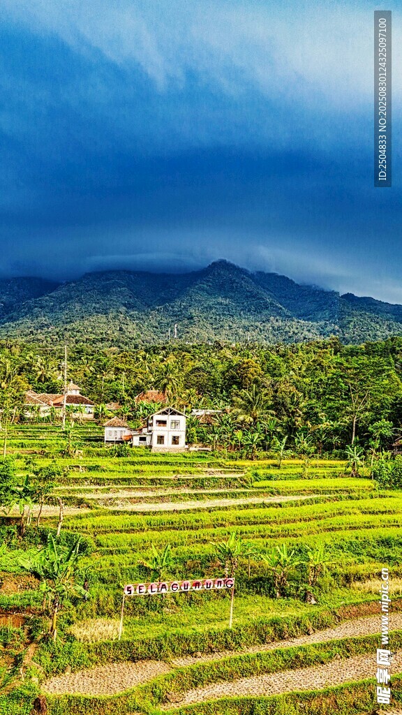 田园风光中的梯田美景