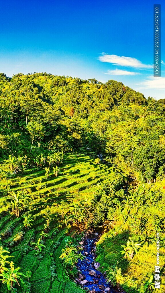 翠绿山坡风光