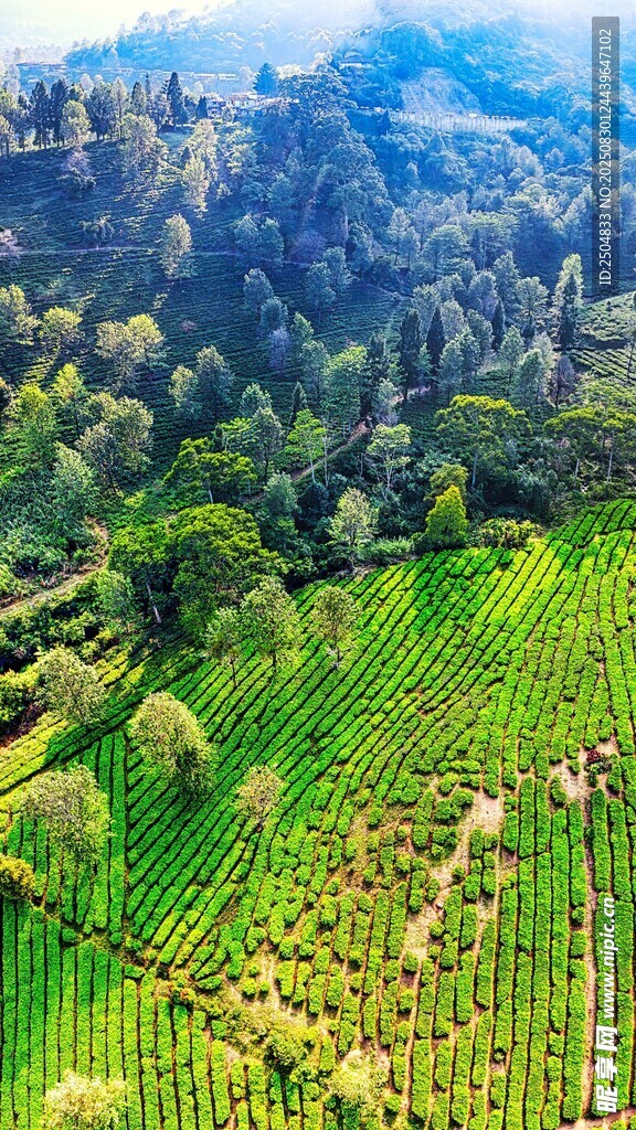 山间绿野田园风光美景