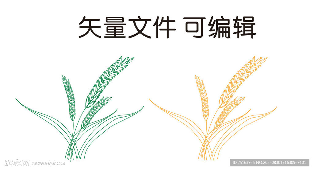矢量麦穗