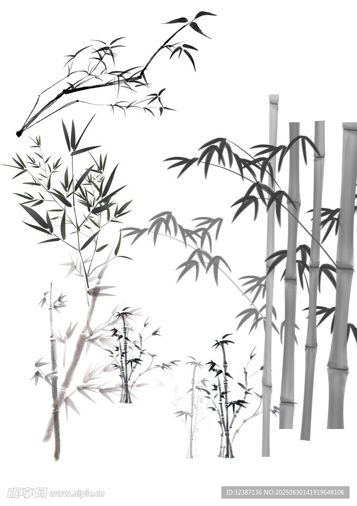 水墨风竹子插画素材