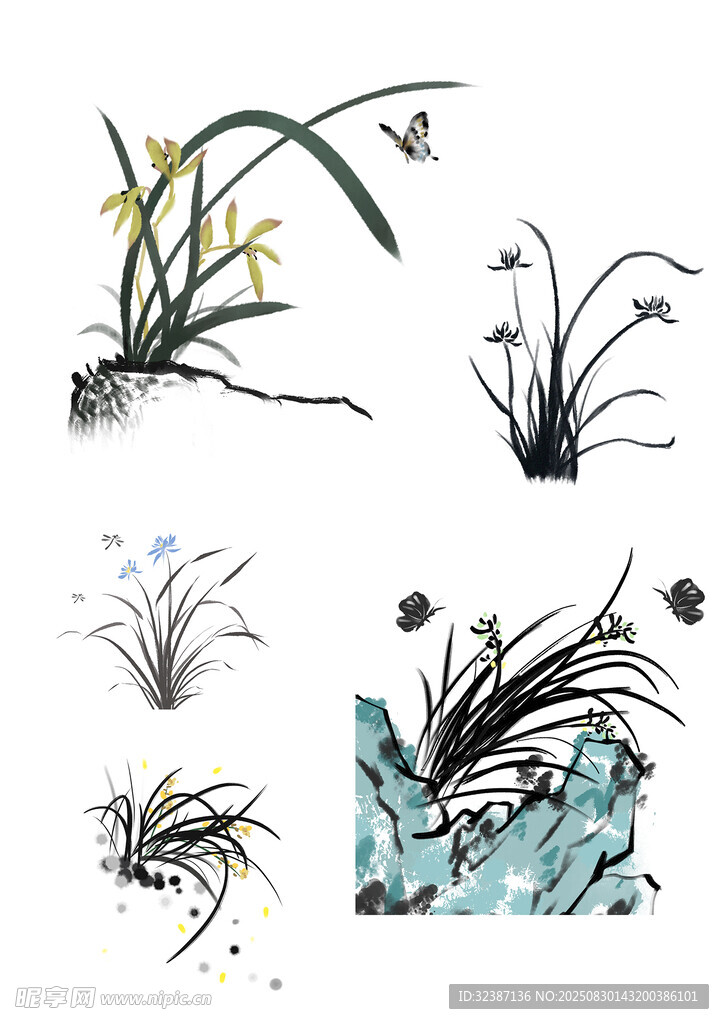 手绘植物花卉插画素材