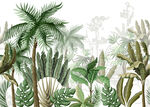热带植物景观插画