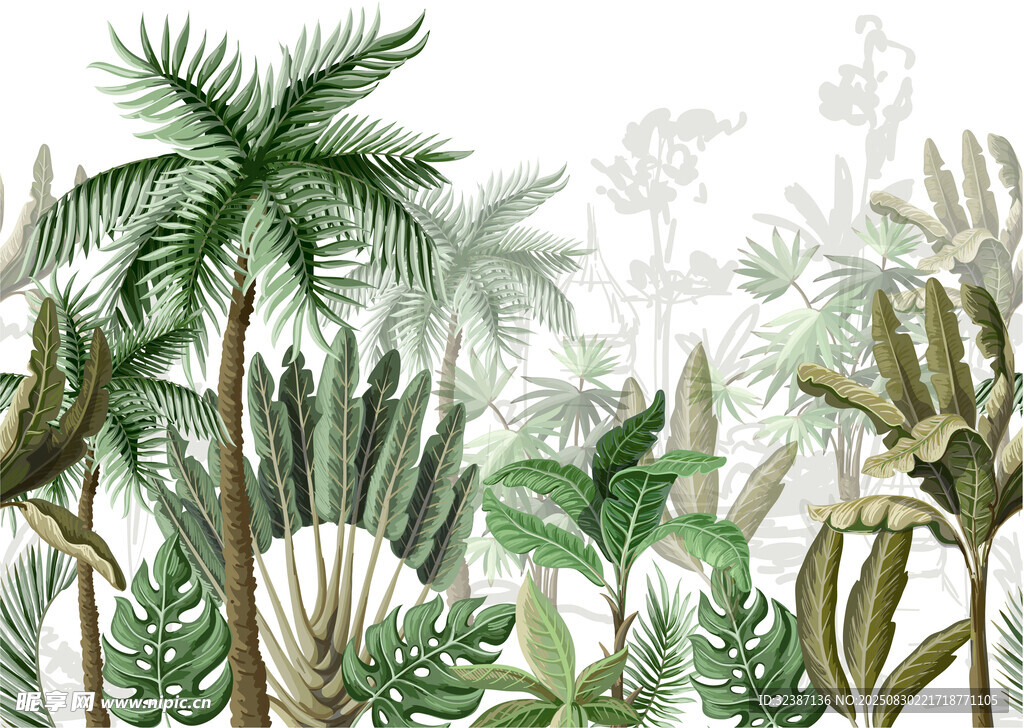 热带植物景观插画
