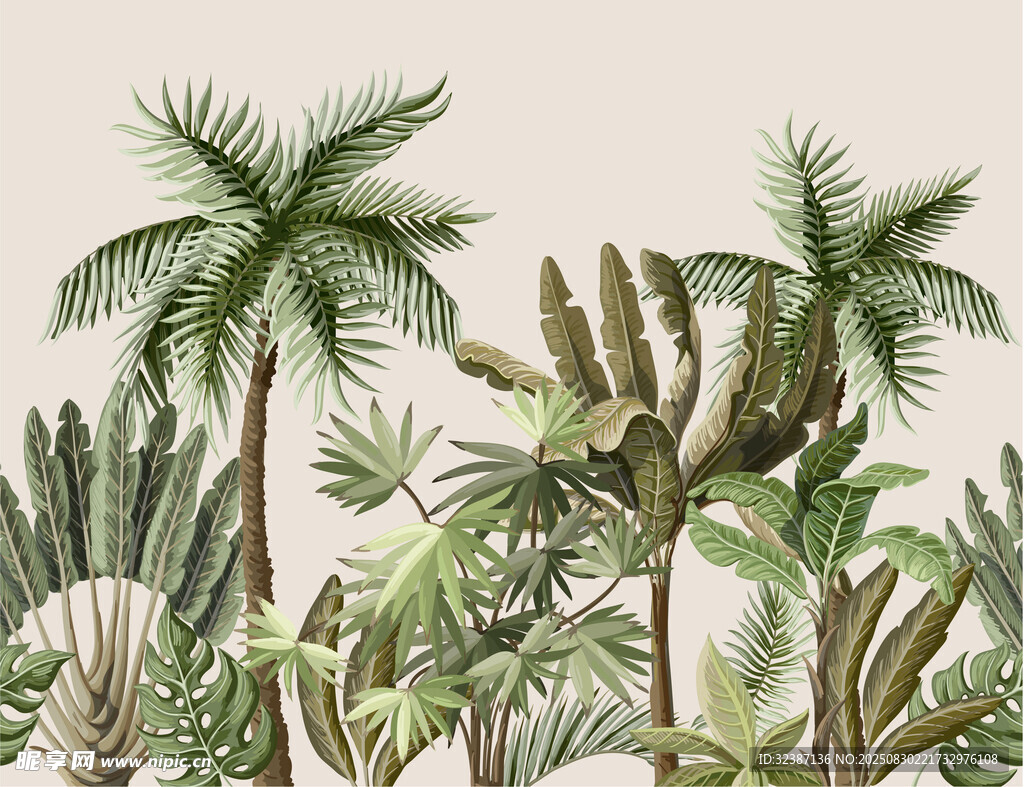热带植物景观插画