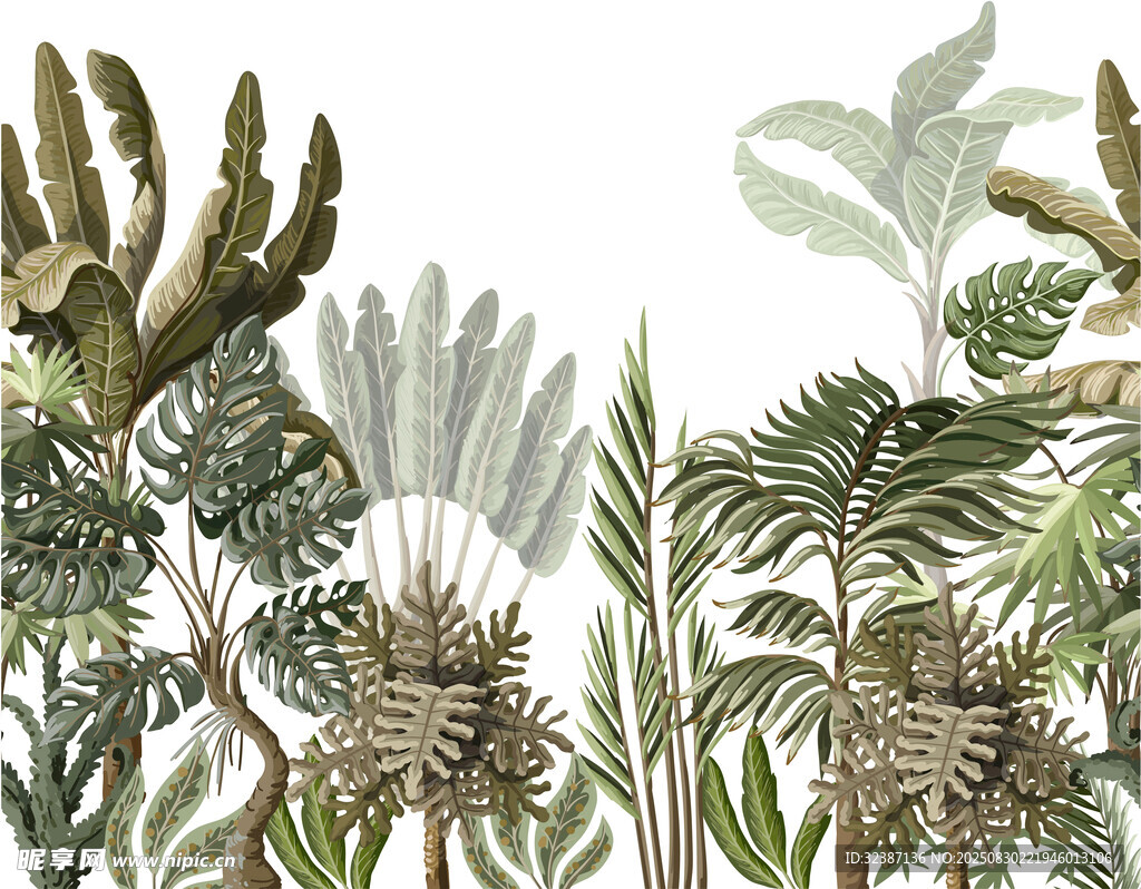 热带植物手绘插画