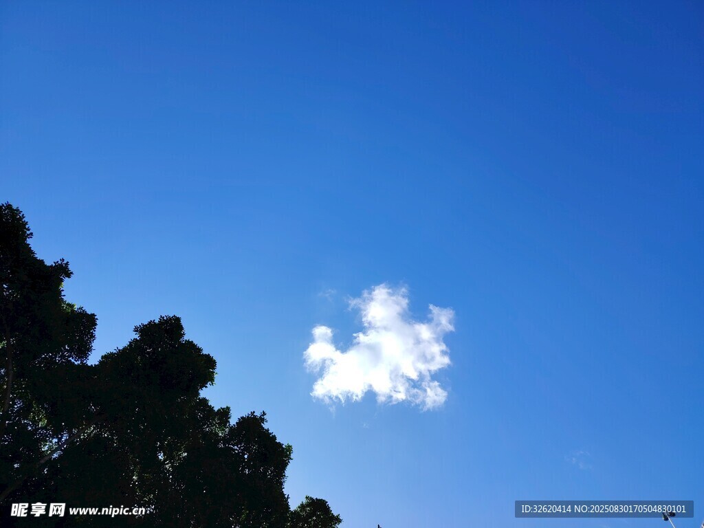 蓝天绿树间的孤独云朵
