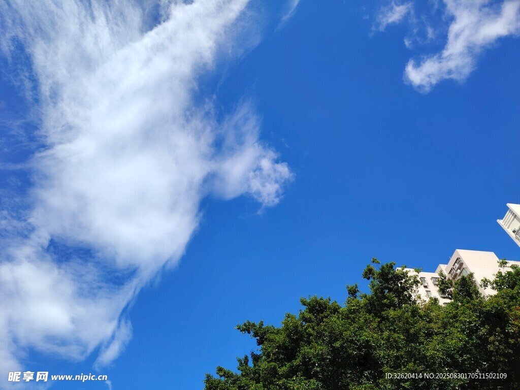 蓝天绿树间的白云美景