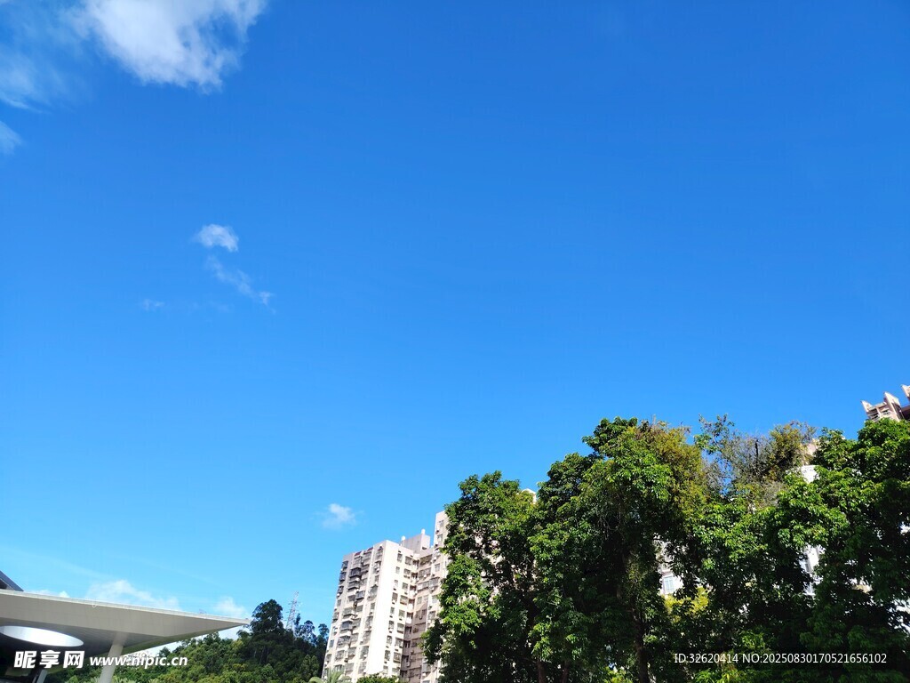 蓝天绿树旁的城市建筑