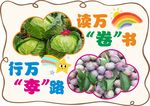 蔬菜主题读书与旅行宣传图