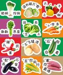多彩新鲜蔬菜大集合