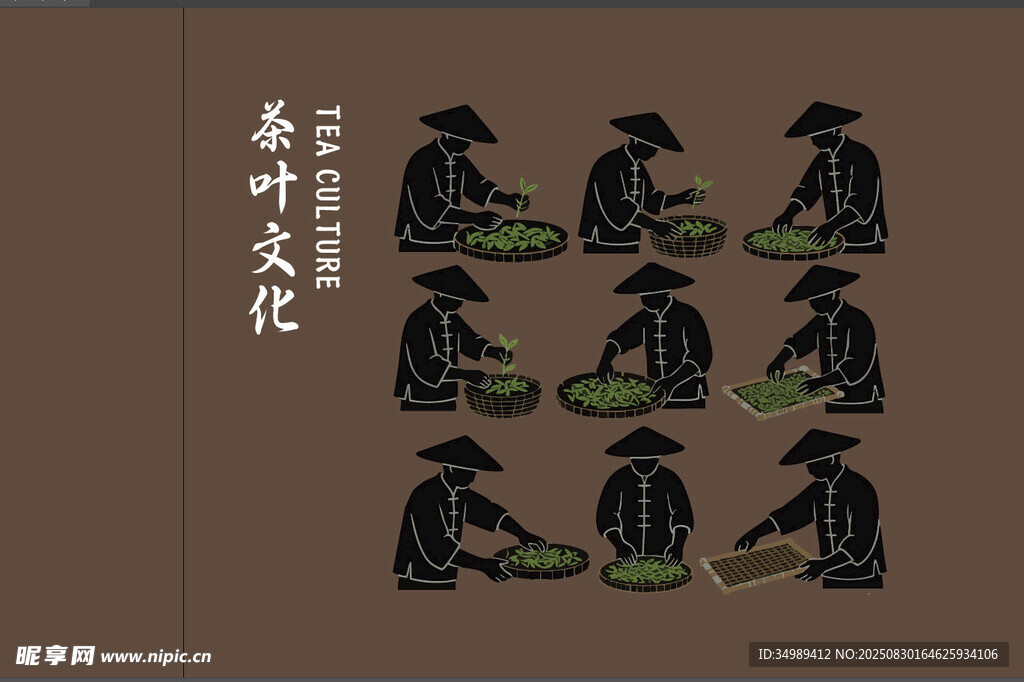 茶叶制作工艺插画