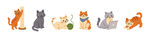 猫咪卡通形象