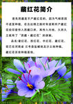 藏红花