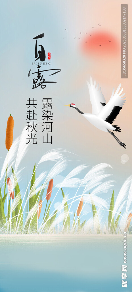 白露