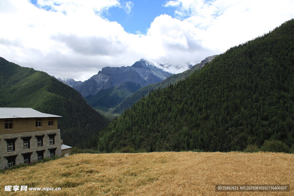山间草甸旁的建筑与远山