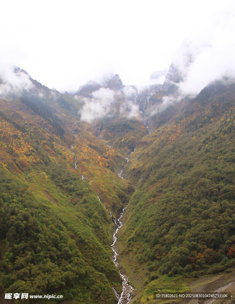 山间溪流穿翠谷