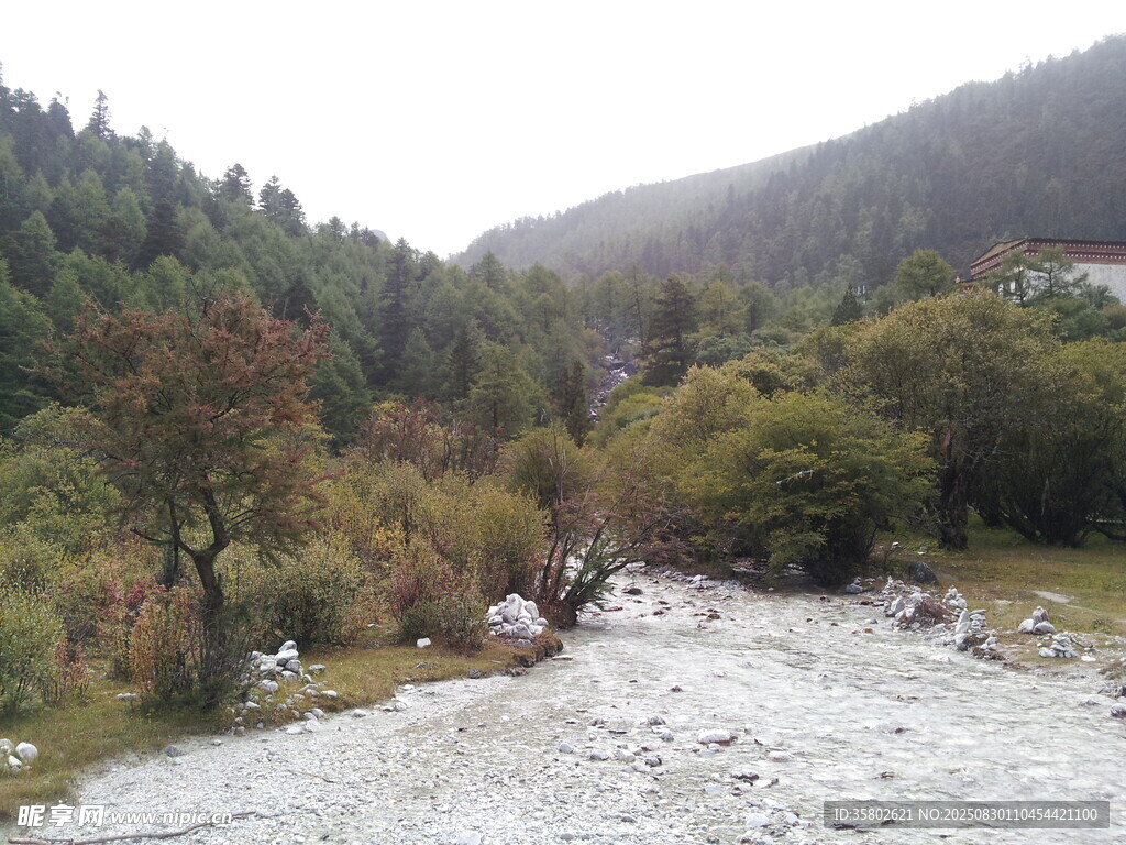 山间溪流旁的自然景致