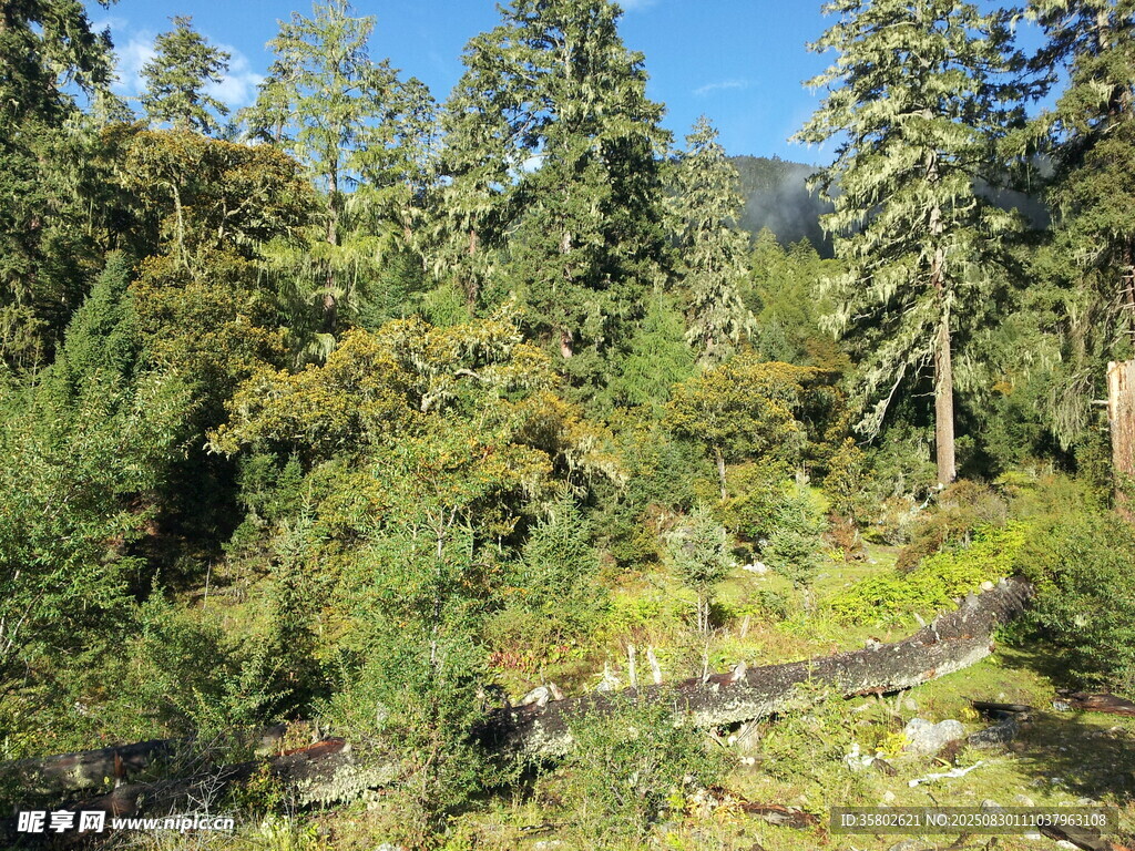 山林间的自然景致