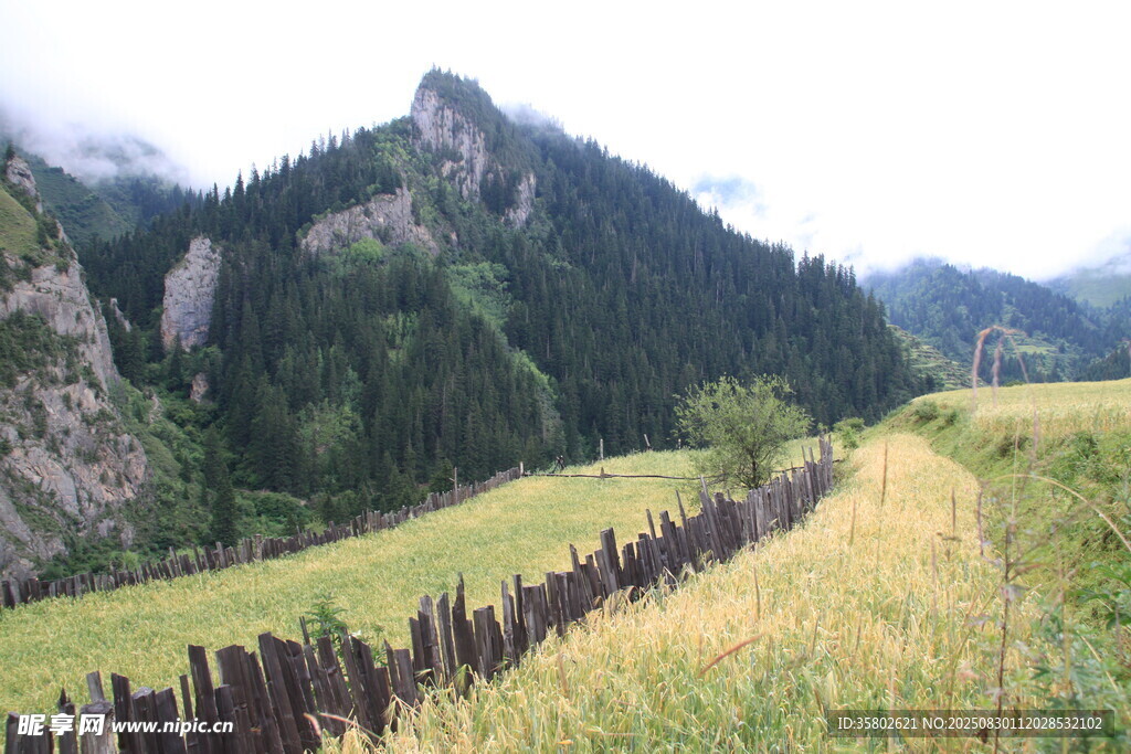 山间田园木栅栏风景