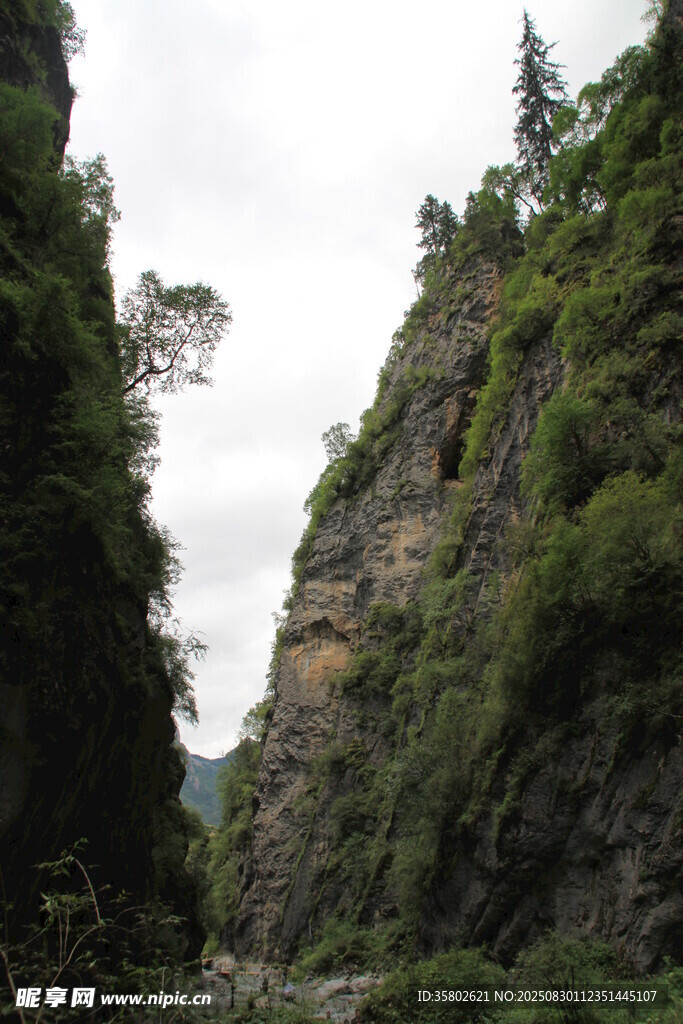 峡谷山林景观