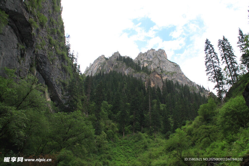 山间葱郁美景