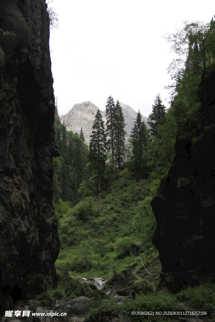 山间峡谷绿意盎然景色美