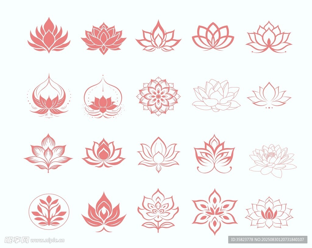 莲花图案